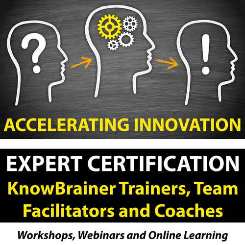 Expert Certification Workshop for KnowBrainer Trainers, Innovation Team Facilitators and Coaches
